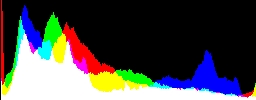 Histogram